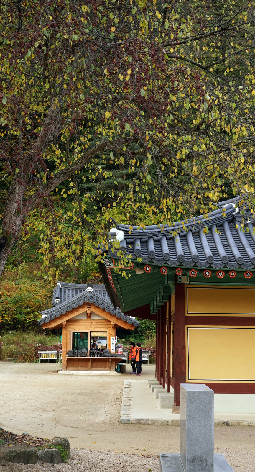 The scenery of Baekdam Temple in Seolak Mountain, Korea 백담사의 가을 풍경